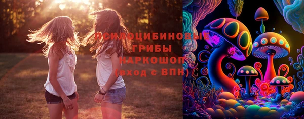 MDMA Premium VHQ Аркадак